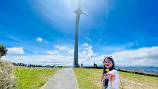 Things to do in Wellington New Zealand - Brooklyn Wind Turbine Walk/Track | Short Walks | 2023