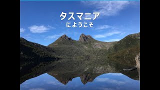 2024年2月タスマニア旅行報告書Ver2