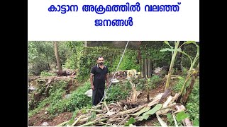 കാട്ടാന  അക്രമം - Iritty  Kazchakal 6 September 2024