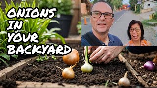 Can Onions Really Grow in ANY Backyard? I'm About to Find Out?