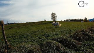 Na rowerze przez Jodłów i Potoczek - okolice Singletrack Glacensis, pętla Jodłów