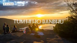 Tum hi Ho Bandhu | Cocktail | DJ Lofi Beats