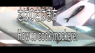 さばのさばき方 How to cook mackerel sashimi Japanese food