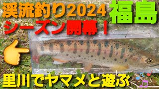 【渓流釣り】2024シーズン開幕！里川でヤマメと遊ぶ♪　Enjoy mountain stream fishing