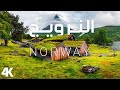 جمال الطبيعة الخلابة في النرويج مع موسيقى هادئة للتأمال والاسترخاء | Norway 2023 relaxation film 4k
