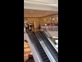 2 crazy women get arrested at collin creek mall in plano tx