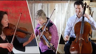 Socially Distanced Chamber Music: Beethoven String Trio Op.9 no.1-Presto
