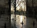 Calming fountains of Shalimar Bagh, the largest Mughal Garden in Srinagar, Kashmir ⛲️⛲️⛲️⛲️