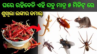 ଘରେ ରହିବେନି ଏହି ସବୁ  ମାତ୍ର  ୫ ମିନିଟ୍ ରେ 🤩||ଶୁଖିଲା ଲଙ୍କା ର କମାଲ😱||Money Saving Repellent Tips At Home