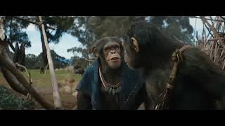 Kingdom of the planet of the apes new movie 2024 | Planet of the apes | new movie 2024