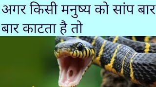 If the #snake 🐍Bites Again \u0026 Again 👉 #ayurvedic #treatment #ayurveda #health #naturalremedies #india