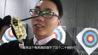 40磅复合弓射击龟壳，会怎么样？