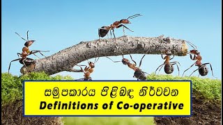 සමුපකාරය පිළිබද නිර්වචන (Definitions of Co-operative)