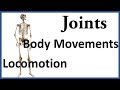 Hinge Joint - Ball and Socket Joint - Pivot Joint - Gliding Joint - Saddle Joint - Condyloid joint