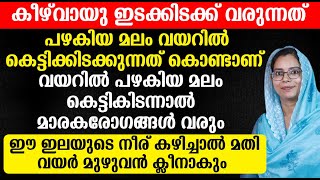 ഈ ഇലയുടെ നീര് കഴിച്ചാൽ വയർ മുഴുവൻ ക്ലീനാകും | Malayalam Healthy Tips | Acidity | Healthy Malyalam