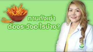 (เช็คสูตร) ถั่งเช่าเลือกยังไง กินแล้วช่วยอะไรบ้าง by เภยาหม่อง CORDY VITA C