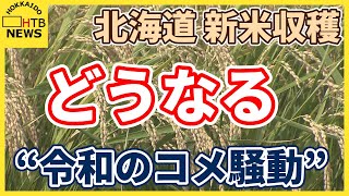 “令和のコメ騒動”でコメ農家は“少しでも早く届ける工夫”道内各地で稲刈り・精米・新米販売始まる