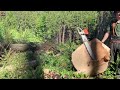 extremely dangerous tree cutting moment modern wood cutting chainsaw 26