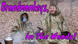 Grandmonkeys In The Woods!