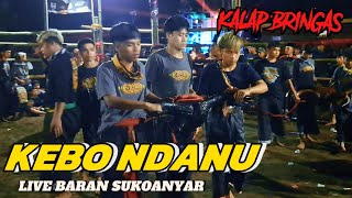 KALAP SEMAKIN BRINGASS KEBO NDANU live baran sukoanyar