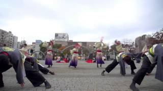 第１０回四日市よさこい祭り　やったろ舞　宴屋さん