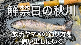 解禁日の秋川 放流ヤマメの釣り方を思い出しにいく