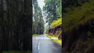 සුන්දර දියතලාව 😍😛#viral# Diyathalawa# beautiful sri lanka#  travelling in Sri Lanka