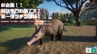 プラネットズー動物解説編！ツチブタ☆