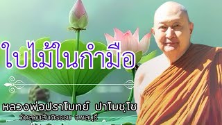 ใบไม้ในกำมือ : หลวงพ่อปราโมทย์ ปาโมชฺโช  วัดสวนสันติธรรม