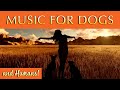 Music for Dogs and Humans 🐶💙 Perfect for Sleep or Relaxation