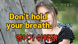 원어민 표현 모음 5문장 20 | 기초영어회화 | 이것만 외우세요 | 무조건 되는 영어공부