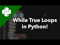 While True Loops in Python // Learning Python