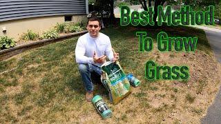 The best method to grow grass - a comparison of popular products on the market