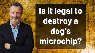 Is it legal to destroy a dog's microchip?