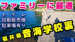 『音海学校裏』福井県高浜町音海にある小さな波止場‼️駐車場、トイレ🚽もあり足場も良く女性や子供安心😄エギングや青物、五目釣りをするファミリーフィッシングからベテランまで満足いく釣り場紹介動画です‼️