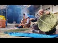 village lifestyle iran amazing cooking u0026 donkey riding by a girl