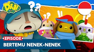 Didi Bertemu Nenek-Nenek | Lagu Anak-Anak Indonesia | Didi \u0026 Friends Indonesia