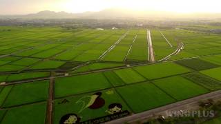 田んぼアート(新潟県燕市吉田地区ドローン空撮) Aerial Shoot