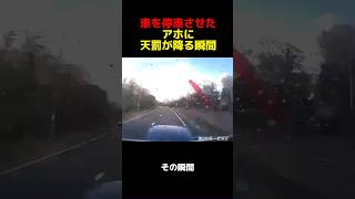 煽り運転野郎が車を強制停車…アホに天罰が下る瞬間#youtubeshorts #shortvideo #shorts