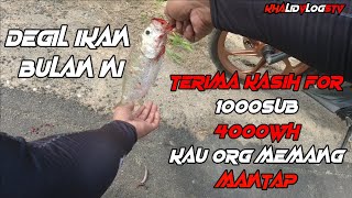 Ikan Bulan Sungai Lereh Melaka(Ryobi Mini Power 1000)