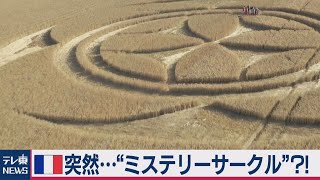 フランスに“ミステリーサークル”？（2020年7月13日）