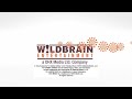 WildBrain Entertainment