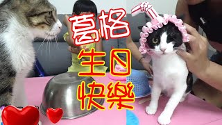 回憶篇#74-MiMi醬..我們永遠愛你~生日快樂！！