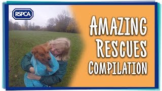 Amazing RSPCA Rescues Compilation