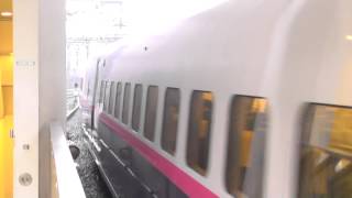 Ｅ2系1000番台+Ｅ3系2000番台　東京駅到着