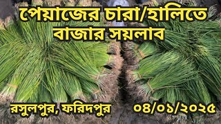 04/01/2025 আজকে পেঁয়াজের চারা হালির বাজার দর || Seedling onions price in Bangladesh ||