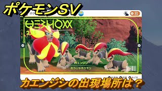 ポケモンＳＶ　カエンジシの出現場所は？図鑑No.２２５　ポケモン図鑑を埋めよう！　【スカーレット・バイオレット】