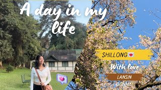 a normal random a day in my life vlog💛#college, parks and friends ✨🫶🏻🍂