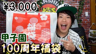 謎の甲子園100周年福袋(3000円)を開封したら中身は・・・