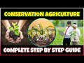 What is Conservation Agriculture? The role of Conservation Agriculture in Sustainable Farming